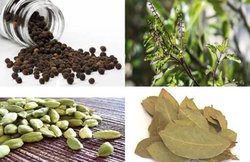 सर्दियों में इन मसालों का सेवन है फायदेमंद, शरीर को रखते हैं गरम और बीमारियां रहती हैं दूर