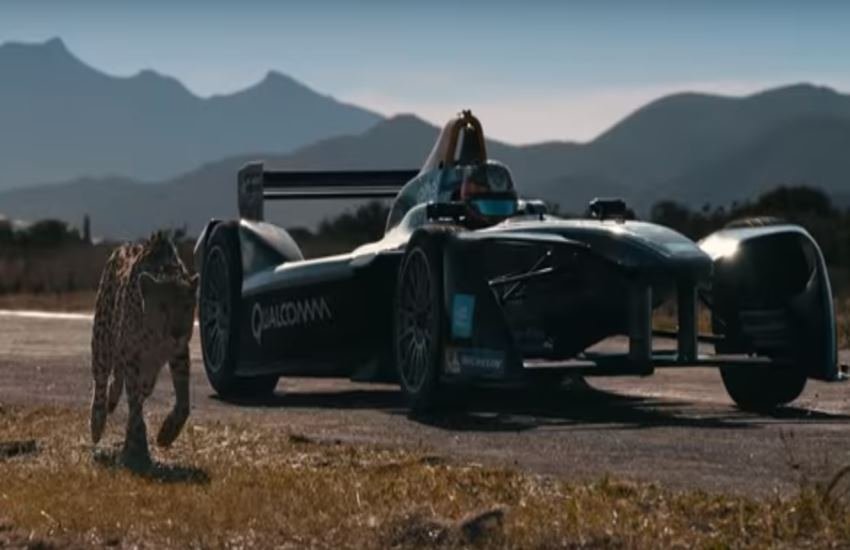 सबसे तेज कार और धरती पर सबसे तेज दौड़ने वाले जानवर का मुकाबला (फोटो सोर्स- यूट्यूब/स्क्रीनशॉट) सबसे तेज कार और धरती पर सबसे तेज दौड़ने वाले जानवर का मुकाबला (फोटो सोर्स- यूट्यूब/स्क्रीनशॉट)