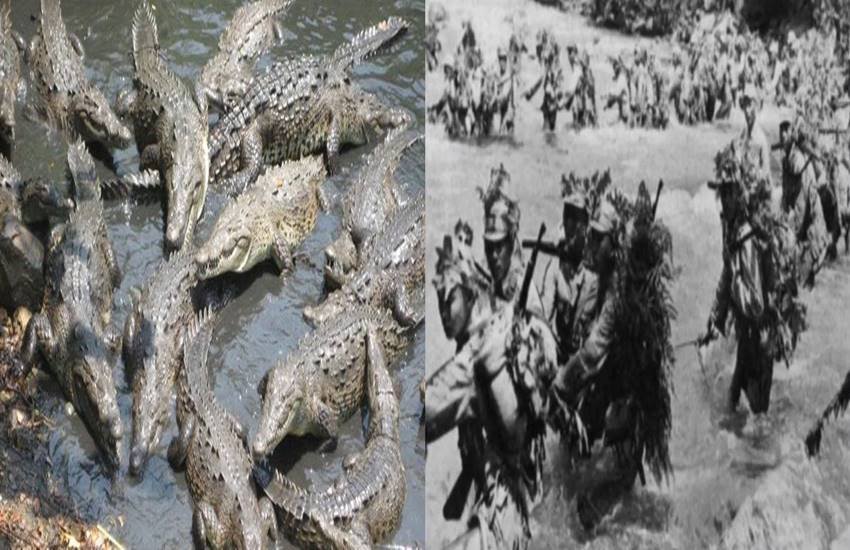 जापानी सैनिक रामरी आइलैंड के अंदर वाले हिस्से में चले गए। जापानी सैनिक रामरी आइलैंड के अंदर वाले हिस्से में चले गए।