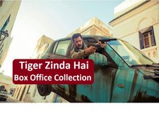 tiger zinda hai collection, tiger zinda hai, tiger zinda hai box office collection, tiger zinda hai 7th day collection, टाइगर जिंदा है, टाइगर जिंदा है फुल मूवी, टाइगर जिंदा है मूवी
