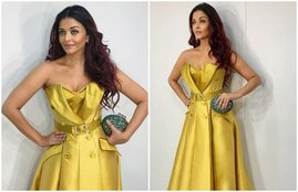 aishwarya rai, aishwarya rai gown price