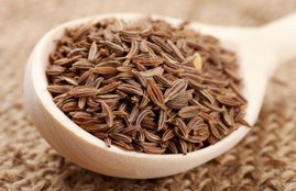 carom seeds, carom seeds or ajwain, carom seeds in hindi, carom seeds benefits in hindi, benefits of carom seeds, benefits of carom seeds in hindi, benefits of carom seeds in acidity, benefits of carom seeds in cold and cough,benefits of carom seeds in indigestion, benefits of ajwain seeds in hindi, health news in hindi, ayurvedic herbs, home remedies in hindi, indian spices, natural remedies, jansatta