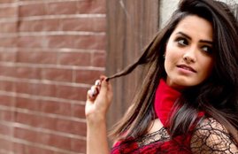 Anita Hassanandani, Anita Hassanandani failed in second class, actress Anita Hassanandani, Anita Hassanandani unknown fact, Anita Hassanandani secrete, tv actress Anita Hassanandani, rohit Reddy, anita hassanandani husband rohit Reddy, vahbiz dorabjee, actress vahbiz dorabjee, tv actress vahbiz dorabjee, model Anita Hassanandani, Anita Hassanandani, television, entertainment, jansatta