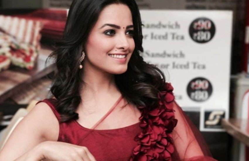 Yeh Hai Mohabbatein, anita hassanandani, Actress anita hassanandani,anita hassanandani Yeh Hai Mohabbatein, Anita Hassanandani instagram, rohit reddy, Anita Hassanandani Rohit Reddy, Ekta kapoor, Shagun, entertainmet, television, jansatta