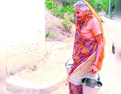 विकास की बाट जोह रहा है वाजपेयी का पुश्तैनी गांव बटेश्वर