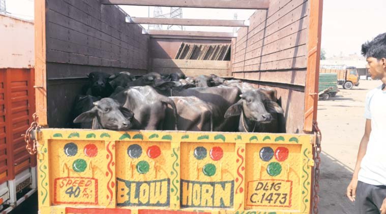 प्रतीकात्मक तस्वीर 