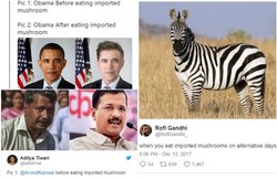 मशरूम खाकर गोरे हुए मोदी’ सोशल मीडिया ने बताया योगी, ओबामा, केजरीवाल की ‘खूबसूरती’ का राज