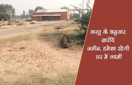 plot, land, land for home, land for business, land according vastu, vastu helps in home decoration, vastu shahstra, religious news in hindi, vastu tips, jansatta