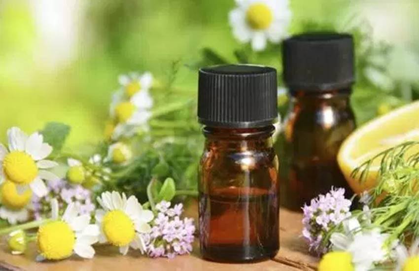 nilgiri oil, nilgiri oil in hindi, eucalyptus oil for hair, eucalyptus oil uses and benefits, eucalyptus oil uses and benefits in hindi, eucalyptus essential oil uses and benefits, nilgiri essential oil uses and benefits, eucalyptus oil in hindi, ayurvedic remedy for hair loss, ayurvedic beauty tips in hindi, jansatta