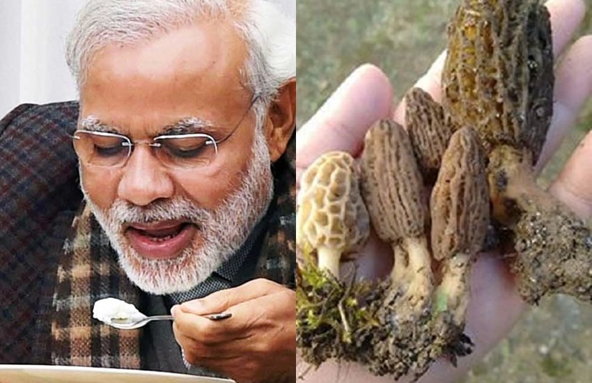 कांग्रेस नेता का आरोप- पीएम मोदी खाते हैं ताइवान से मंगवाया गया 80,000 रुपये वाला मशरूम कांग्रेस नेता का आरोप- पीएम मोदी खाते हैं ताइवान से मंगवाया गया 80,000 रुपये वाला मशरूम