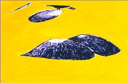 भाषा-भेदी- देखना की उछलकूद