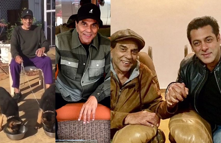 Salman Khan, Salman Khan Surprise Visit to Dharmendra, Salman Khan in Dharmendra Farm, picture of Dharmendra and Salman Khan, perfect moment of Salman Khan and Dharmendra, Dharmendra captured perfect moment in camera, television news, bollywood news, entertainment news,, television news in hinid, bollywood news in hindi