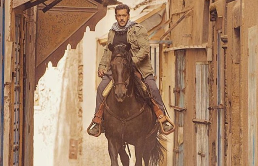 salmna khan, tiger zinda hai, katrina kaif, MNS, shiv sena salmna khan, tiger zinda hai, katrina kaif, MNS, shiv sena