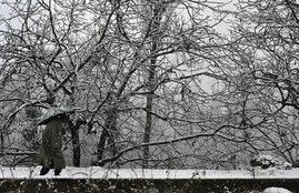 Kashmir, snowfall, snowfall in kashmir, kashmir snowfall, air service, air service affected, air service affected in kashmir, Kashmir collapses, collapses due to snowfall, kashmir snowfall Pics, kashmir snowfall Photos, Photo Gallery