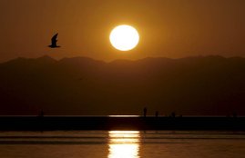 sunset, donate, milk, curd, onion, garlic never donate, never donate after sunset, sunset and sunrise, sunset time, today sunset time, today sun rise time, religious news in hindi, jansatta