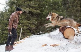 tiger zinda hai collection, tiger zinda hai, tiger zinda hai box office collection, tiger zinda hai 10th day collection, tiger zinda hai total collection, tiger zinda hai box office collection day 10, tiger zinda hai full movie, tiger zinda hai full movie download, tiger zinda hai full movie online, tiger zinda hai full movie online download, box office collection, tiger zinda hai collection day 10, tiger zinda hai total box office collection, tiger zinda hai movie, tiger zinda hai collection report, box office news updates