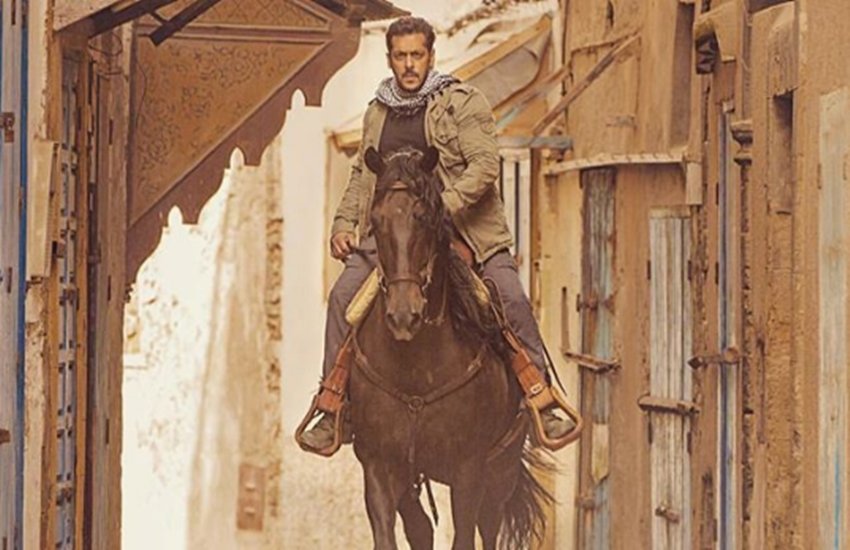 tiger zinda hai, tiger zinda hai box office collection, tiger zinda hai collection, tiger zinda hai 3rd day collection, tiger zinda hai box office collection day 3, tiger zinda hai full movie, tiger zinda hai full movie online, tiger zinda hai full movie online download, tiger zinda hai 3rd day box office collection, tiger zinda hai collection 3rd day, tiger zinda hai collection india, tiger zinda hai movie, tiger zinda hai movie 3rd day collection, tiger zinda hai box office, entertainment news updates tiger zinda hai, tiger zinda hai box office collection, tiger zinda hai collection, tiger zinda hai 3rd day collection, tiger zinda hai box office collection day 3, tiger zinda hai full movie, tiger zinda hai full movie online, tiger zinda hai full movie online download, tiger zinda hai 3rd day box office collection, tiger zinda hai collection 3rd day, tiger zinda hai collection india, tiger zinda hai movie, tiger zinda hai movie 3rd day collection, tiger zinda hai box office, entertainment news updates