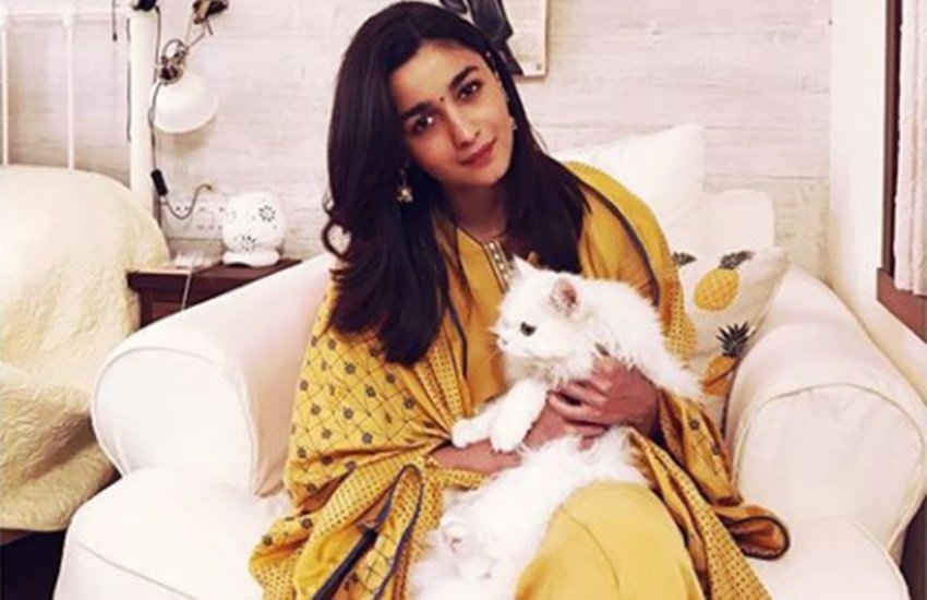 bollywood celebs, John Abraham, actor John Abraham, Alia Bhatt, Sonakshi Sinha, Shahid Kapoor, Jacqueline Fernandez, Aamir Khan, Esha Gupta, vegetarian, vegan, vegan food, vegetarian food, food, celebrity, Celebrity habits, jansatta