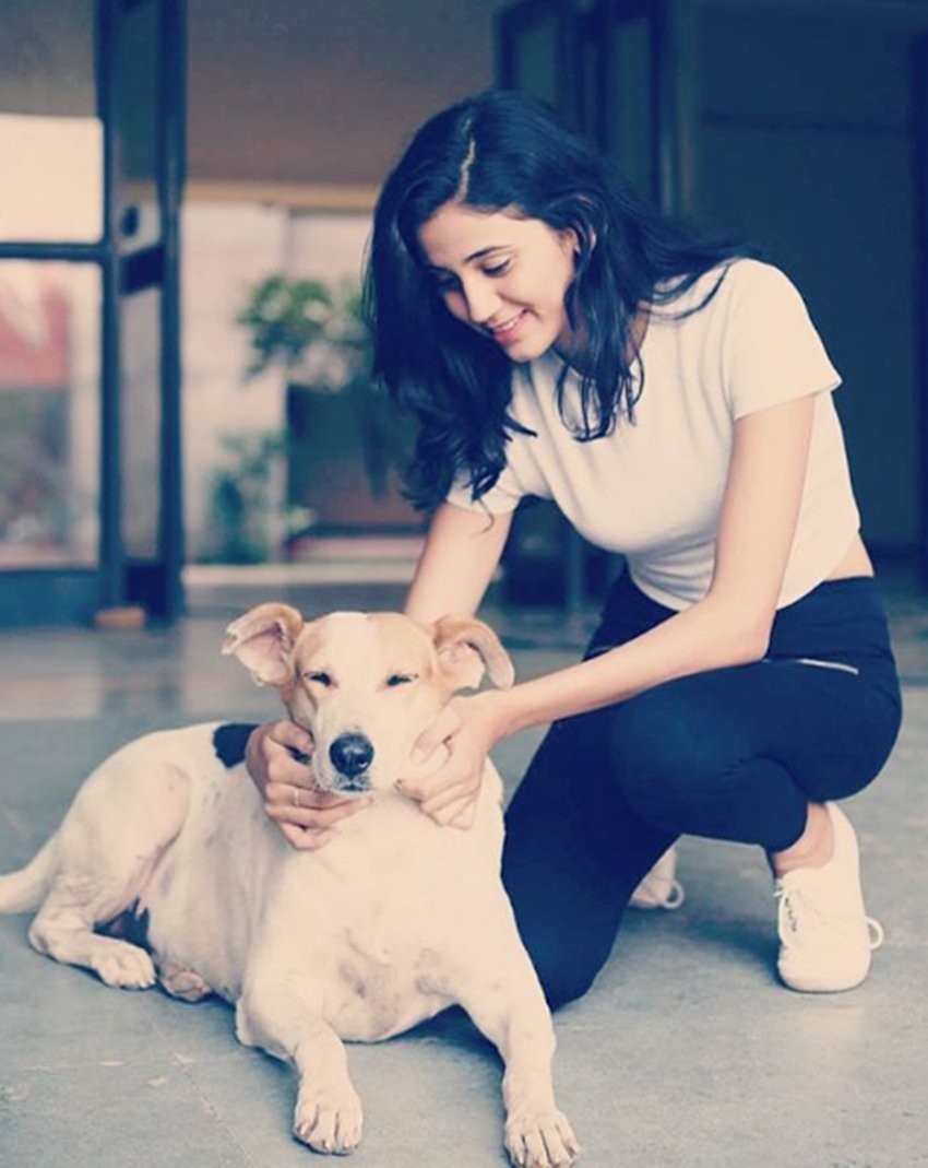 Andleeb Zaidi, Andleeb Zaidi Images, Andleeb Zaidi Photos, Andleeb Zaidi Struggle Story, Andleeb Zaidi Story, Andleeb Zaidi Instagram Account, Andleeb Zaidi Social Media, Andleeb Zaidi Images, Andleeb Zaidi Photos