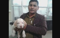 बिना टिकट ट्रेन से ले जा रहा था कुत्ता, TC ने लगा दिया जुर्माना