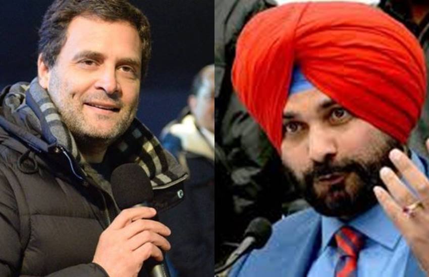 काली जैकेट पहने राहुल गांधी और उनके बचाव में उतरे नवजोत सिंह सिद्धू( फोटो सोर्स-ट्विटर) 