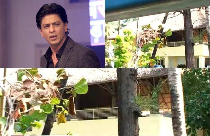 बॉलीवुड सेलेब्स अपनी लाइफस्टाइल को लेकर अक्सर चर्चा में रहते हैं। इन एक्टर्स की लिस्ट में किंग खान शाहरुख का नाम भी शामिल है। उनके मुंबई के आलीशान घर के बारे में तो ज्यादातर लोग जानते ही हैं, जिसका नाम 'मन्नत' है। वहीं शाहरुख ने मन्नत के अलावा मुंबई की भीड़भाड़ से दूर एक और आलीशान बंगला लिया हुआ है। यह बंगला शाहरुख ने साल 2015 में लिया था। शाहरुख का यह बंगला अलीबाग के थलबीच के सामने बना हुआ है। इस जगह पर पहुंचने के लिए आपको बोट का सहारा लेना होगा। पिछले दिनों आयकर विभाग ने इस बंगला को सीज कर दिया है। आयकर विभाग ने शाहरुख पर नियमों के उल्लंघन का आरोप लगाया है। (सभी पिक्चर्स- यूट्यूब/ZOOM)