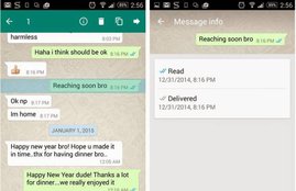 whatsapp Message info screen, your message was delivered, read whatsapp Message, Message info screen, whatsapp Message details, whatsapp Message read details, whatsapp Message delivered details