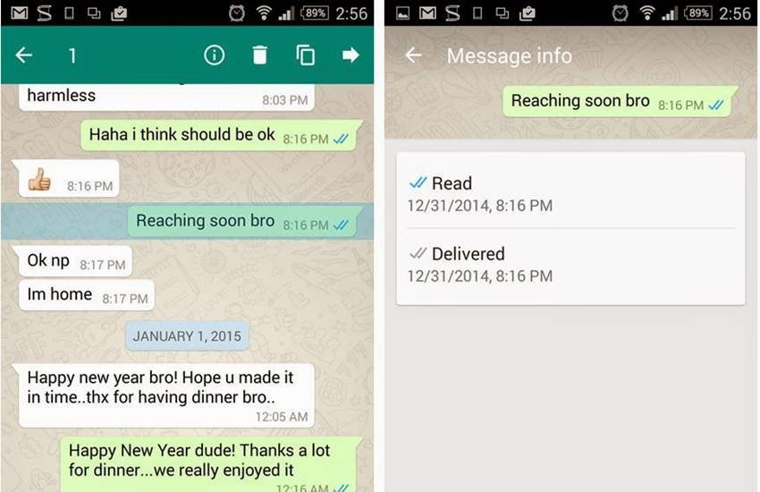 whatsapp Message info screen, your message was delivered, read whatsapp Message, Message info screen, whatsapp Message details, whatsapp Message read details, whatsapp Message delivered details