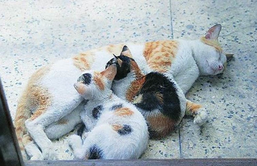 इस तस्वीर का इस्तेमाल केवल प्रतीक के तौर पर किया गया है।