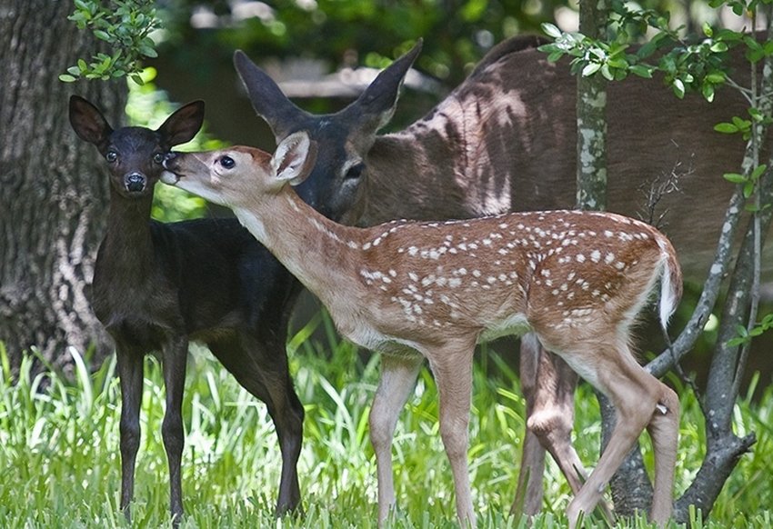 (फाइल फोटो) 