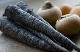 carrots, black carrot health benefits in winters in hindi, black carrot health benefits in hindi, black carrot juice health benefits in hindi, black carrot for cholesterol in hindi, black carrot for eyes in hindi, winter foods in hindi, winter fruits in hindi, health news in hindi, jansatta