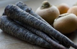 सर्दियों में पाचन दुरुस्त करने में मददगार है काली गाजर, जानें और क्या-क्या हैं फायदे