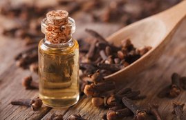 cloves uses, cloves uses in hindi, how to eat cloves in hindi, cloves benefits in hindi, cloves benefits in various diseases, cloves benefits in fever, cloves benefits in cough, cloves benefits in cloves, health tips in hindi, health news in hindi, beauty tips in hindi, healthy life tips in hindi, health, lifestyle news in hindi, healthy lifestyle, healthy lifestyle tips in hindi, jansatta