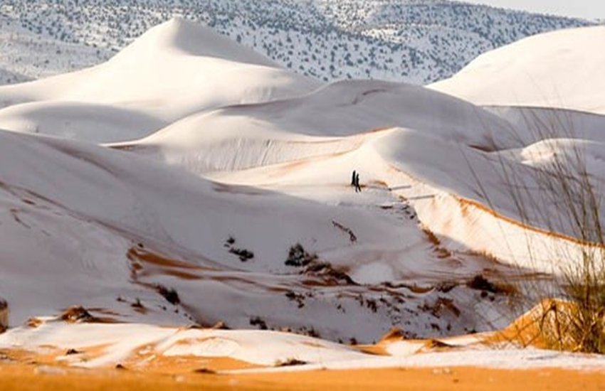 इस समय पूरी दुनिया कड़ाके की ठंड से परेशान है। अमेरिका और कनाडा में रिकॉर्ड ठंड दर्ज की गई है। सोशल मीडिया में अमेरिका में ठंड से जमे नदी, झील, झरनें, की तस्वीरें वायरल हो रही हैं। लेकिन इस साथ ही उत्तर अफ्रीकी देश अलजीरिया में फैले सहारा रेगिस्तान में भी बर्फबारी देखने को मिली है। रेगिस्तान के ऊपर इस कदर बर्फबारी हुई है कि रेत पर सफेद बर्फ की चादर बिछ गई है। रेगिस्तान पर फैली बर्फ देखने में बेहद खूबसूरत लग रही है। और ये पिक्चर्स सोशल मीडिया पर भी काफी वायरल हो रही हैं। (सभी पिक्चर्स- इंस्टाग्राम)
