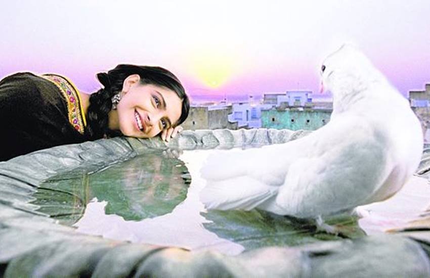 Masakkali Masakkali, Masakkali Masakkali song, Delhi-6, film delhi-6, Direct Rakeysh Om Prakash Mehra, pigeons, Assam's Pigeons, A R Rehman