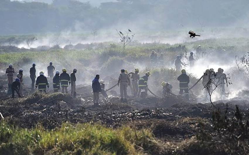 झील में बार-बार पैदा होने वाले इस समस्या की ओर सिविक एजेंसियों की उदासीनता को लेकर चिंताएं पैदा हो गई हैं। (Photo Source: PTI)