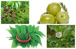 बालों का झड़ना तेजी से कम करते हैं ये 5 आयुर्वेदिक नुस्खे, जानिए कैसे करेंगे इस्तेमाल