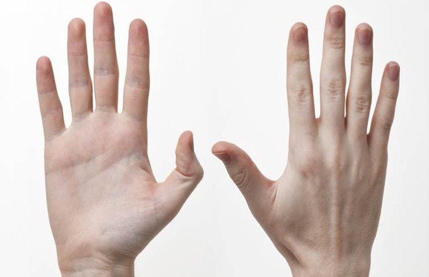 human behavior, human personality, how to judge human personality, human psychology, hands, human hands, shape of human hands, beautigul hands, nails, nails tips, religious news in hindi, jansatta