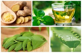 belly fat, belly fat in hindi, weight loss in hindi, belly fat burner in hindi, belly fat burner medicine in hindi, belly fat burner food in hindi, belly fat burning ayurvedic medicine in hindi, ayurvedic herbs for belly fat in hindi, home remedies for belly fat in hindi, fat, calories, health news in hindi, jansatta