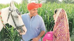 संस्कृति- प्रासंगिक अमृता