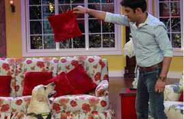 Comedian Kapil Sharma, Kapil Sharma 9 years old Dog, Kapil Sharma with Zanjeer, Kapil Sharma dog dead, Kapil preferred all the time with Zanjeer, comedy night with kapil sharma, entertainment news, bollywood news, television news, bollywood news, entertainment news, bollywood news, television news, bollywood news