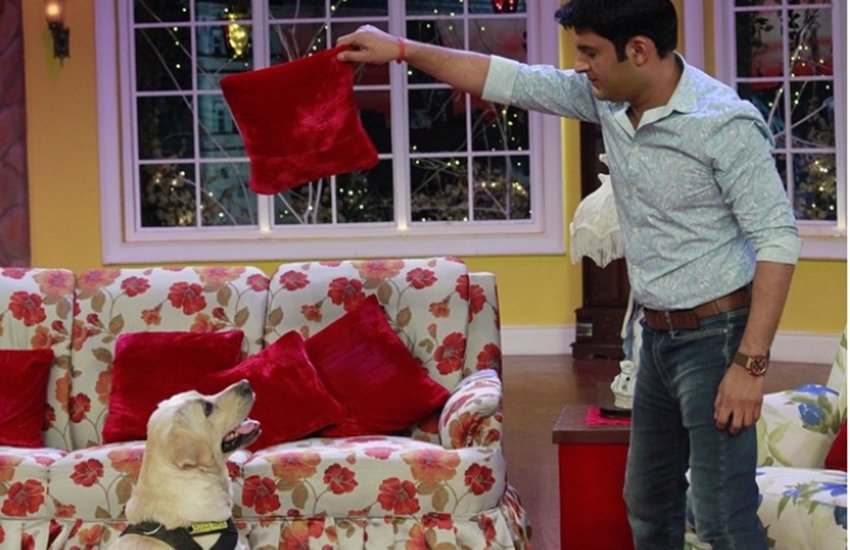 Comedian Kapil Sharma, Kapil Sharma 9 years old Dog, Kapil Sharma with Zanjeer, Kapil Sharma dog dead, Kapil preferred all the time with Zanjeer, comedy night with kapil sharma, entertainment news, bollywood news, television news, bollywood news, entertainment news, bollywood news, television news, bollywood news
