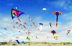 संस्कृति- चली चली रे पतंग…