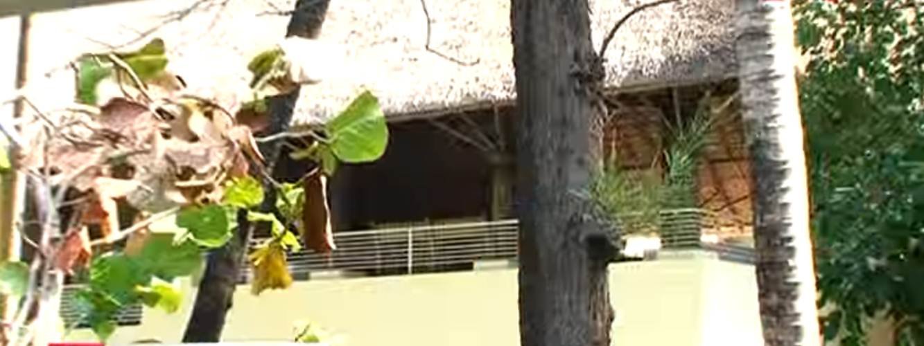 हाल ही में शाहरुख खान के अलीबाग वाले बंगले को इनकर टैक्स डिपार्टमेंट ने सील किया है। डिपार्टमेंट का मानना है कि उन्होंने बंगले को बनाने में नियमों का उल्लंघन किया है।