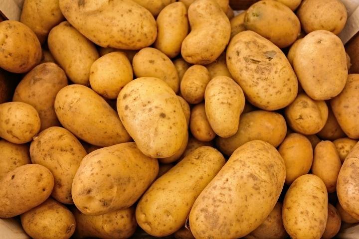 आलू को फ्रिज में रखना आपके लिए नुकसानदायक हो सकता है।