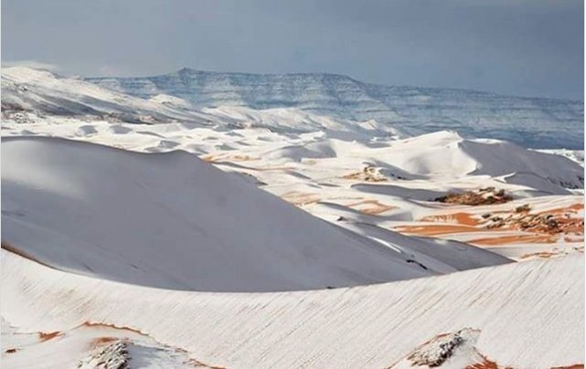 जर्मन वेदर सर्विस के मुताबिक जनवरी में यहा का तापमान 12 डिग्री सेलसियस हो गया है।