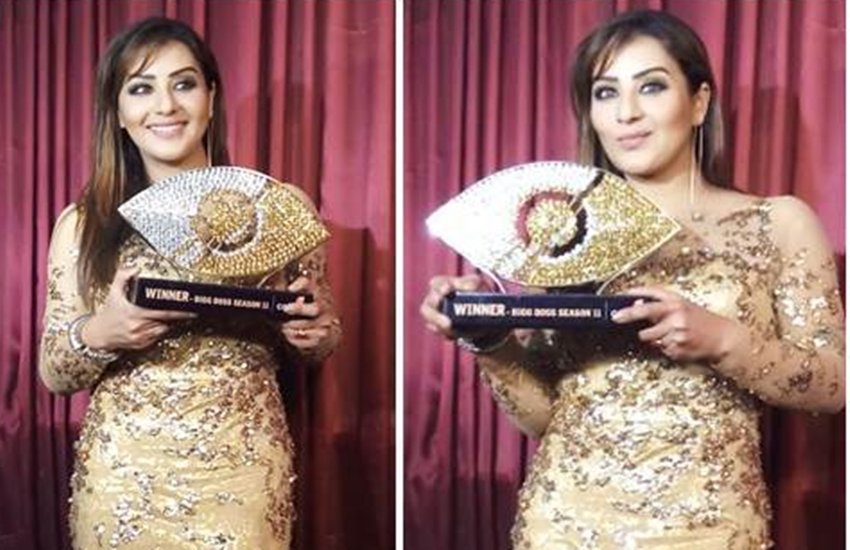 Big Boss, Big Boss Season 11, Big Boss Winner, Big Boss Winner Shilpa Shinde, Television Artists, Support