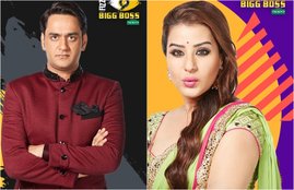 bigg boss 11, Bigg boss shilpa shinde, bigg boss vikas gupta, finale, Marriage, Remour, shilpa react