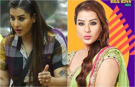 bigg boss, bigg boss 11, shilpa shinde, shilpa fans