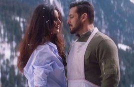 tiger zinda hai, tiger zinda hai box office collection, tiger zinda hai collection, tiger zinda hai 13th day collection, tiger zinda hai 13th day collection, tiger zinda hai total collection